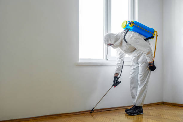 Best Termite Control Services  in Moxee, WA