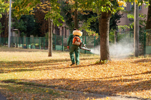 Best Best Pest Control Companies  in Moxee, WA
