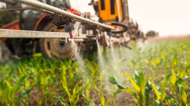 Pest Prevention Services in Moxee, WA
